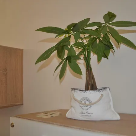 Al Ponte Apartment *